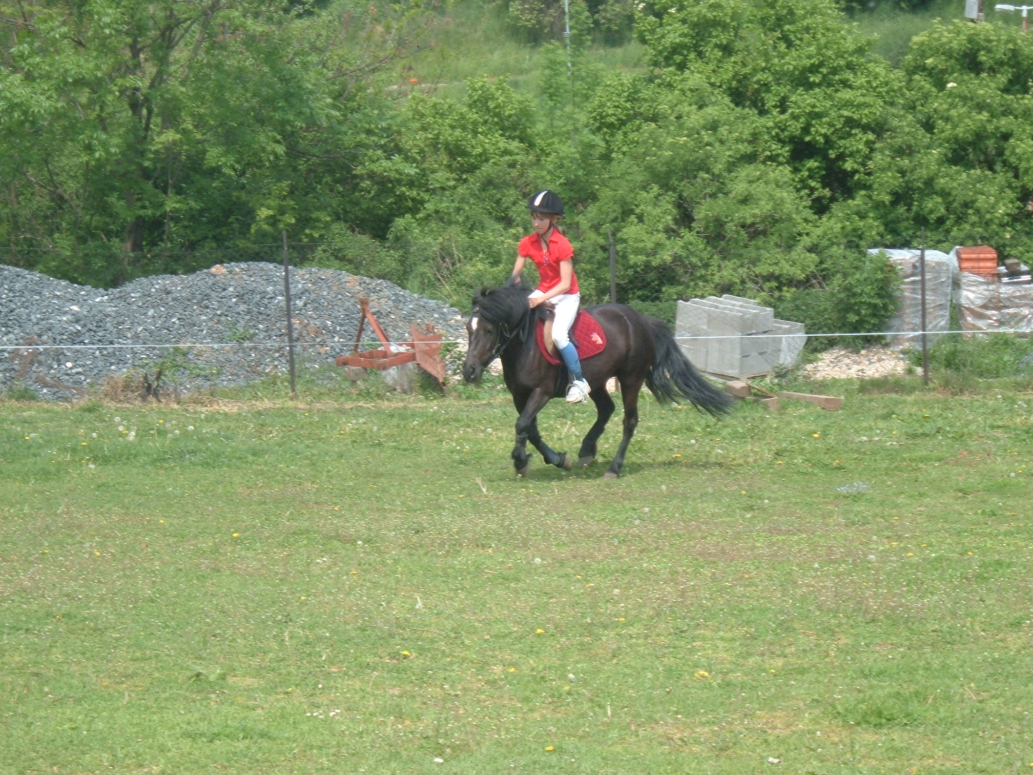 DSCF3267.JPG